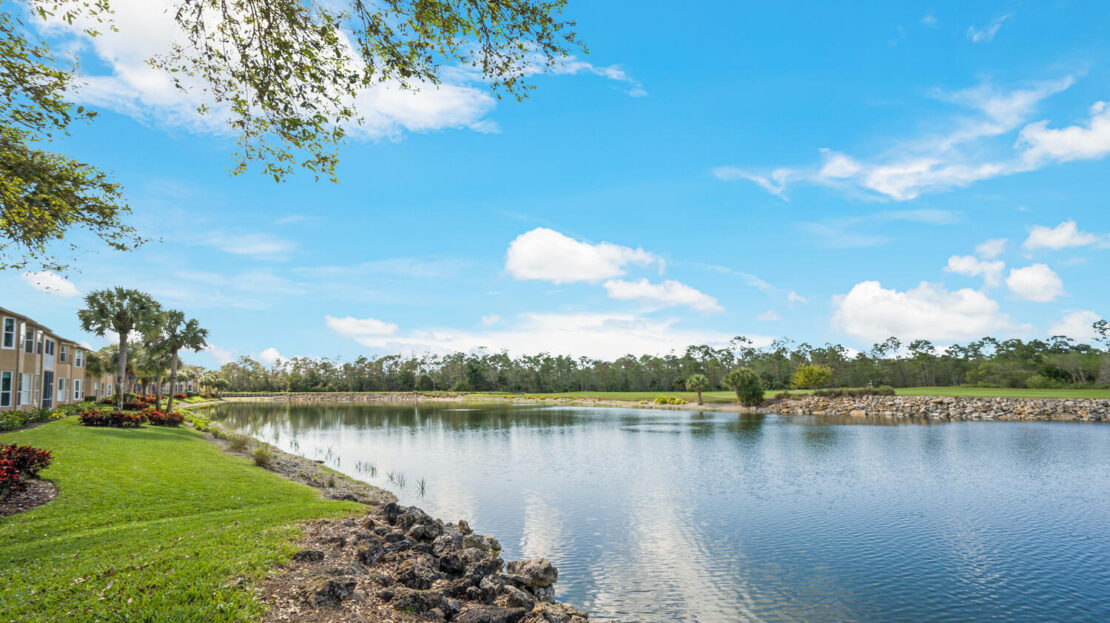 Peaceful lake with clear sky and rocky shore.