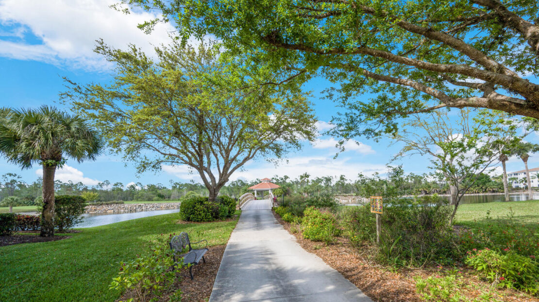 A peaceful paved path lined with greenery under a blue sky.