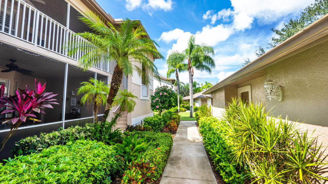 Sunny walkway between residential buildings with lush greenery and palm trees.