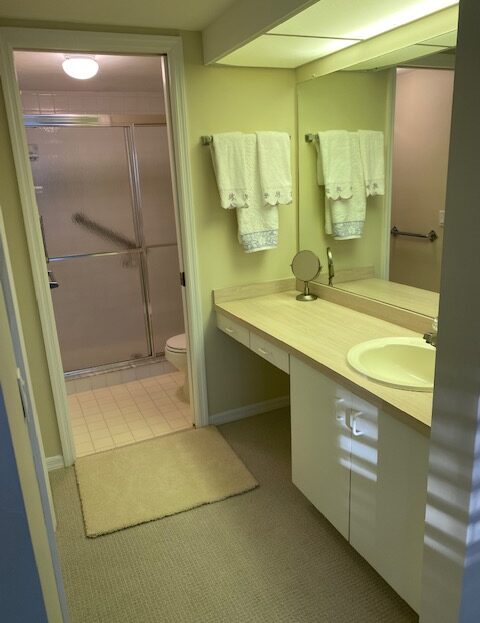 Clean bathroom with a large mirror and shower area.