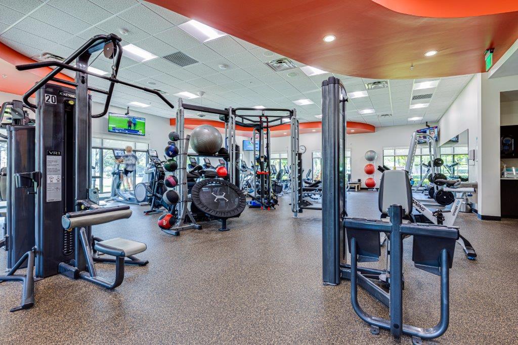 Modern gym with various workout machines and free weights under bright lighting.