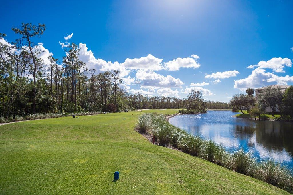 Sunny day at a scenic golf course by the water.
