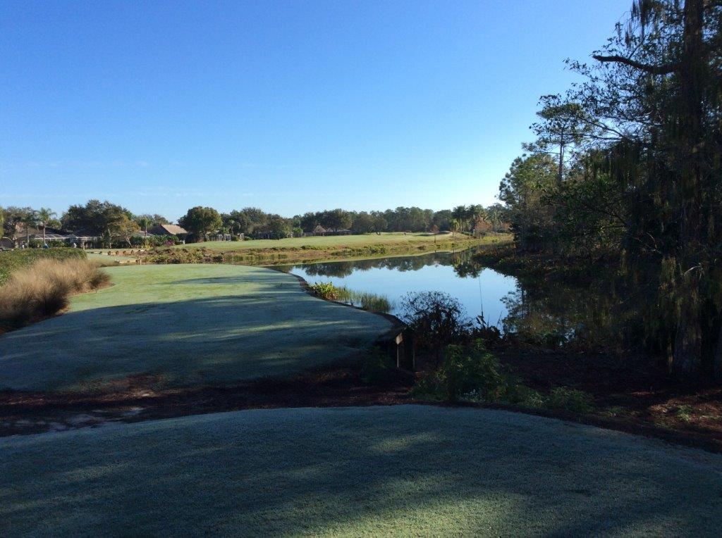 Peaceful golf course view with a clear blue sky and water hazard.