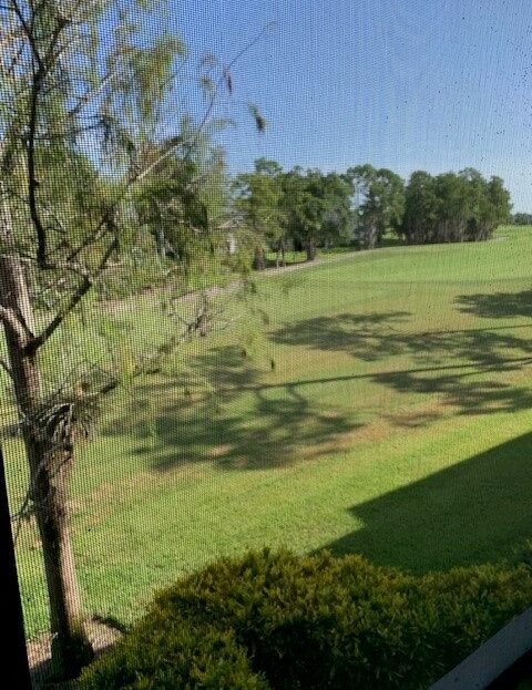 A green grassy field with trees under a clear sky.