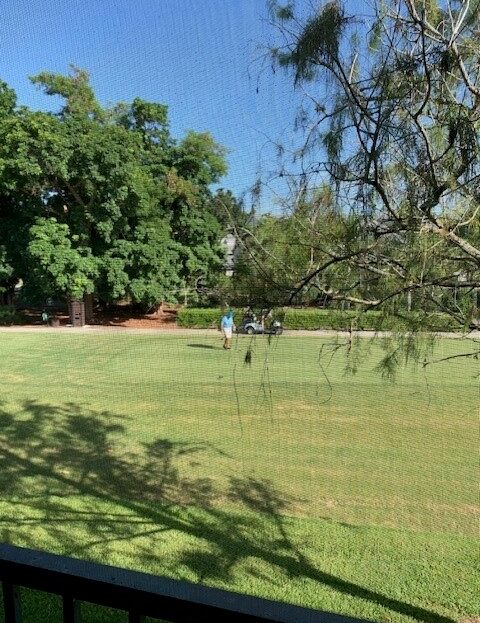 Two people walking on a sunny grassy field surrounded by trees.
