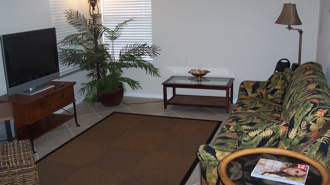 Cozy living room with tropical-themed couch and large potted plant.
