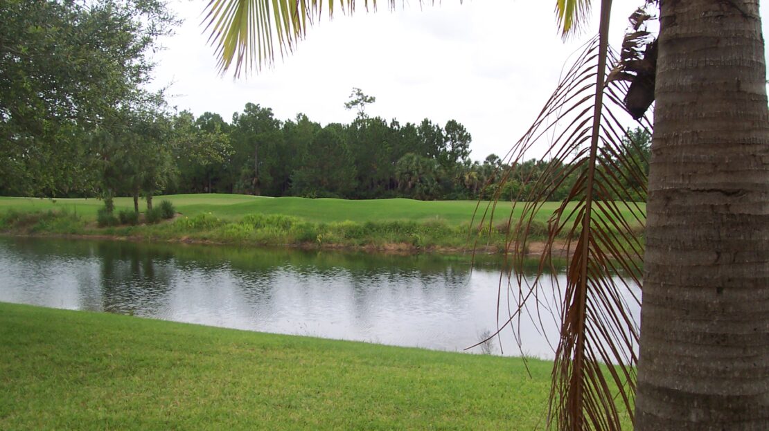 A serene pond surrounded by grass and trees under a cloudy sky.