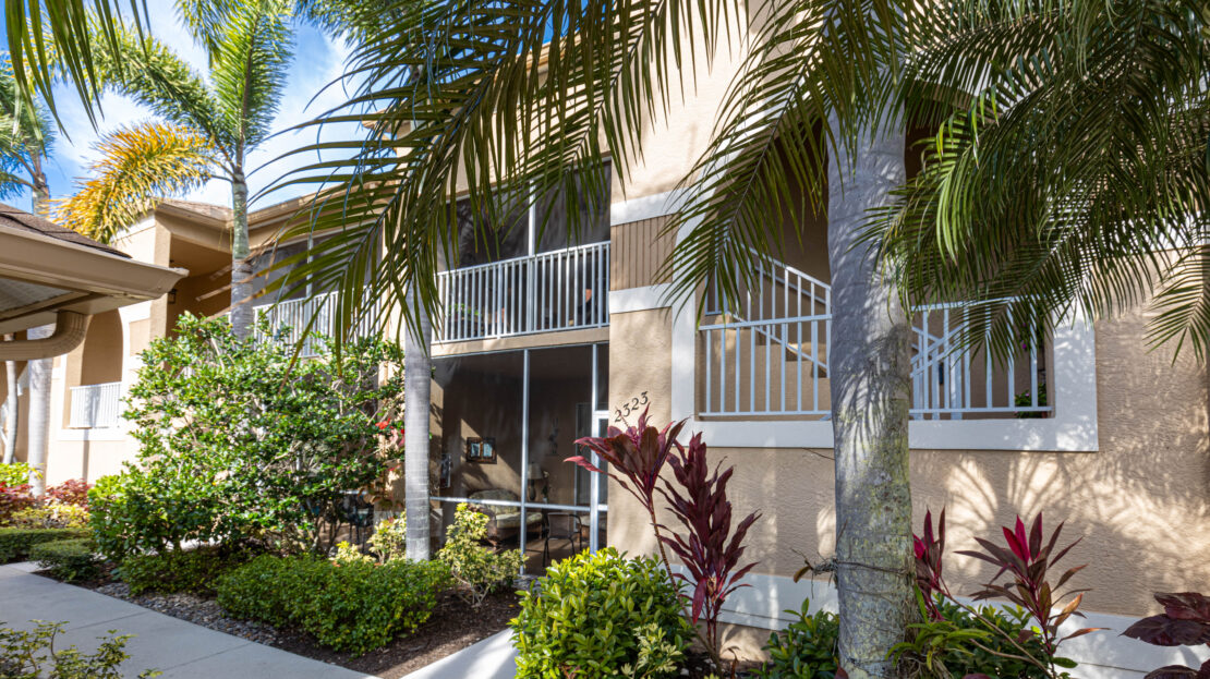 A sunlit tropical patio with lush greenery and palm trees.