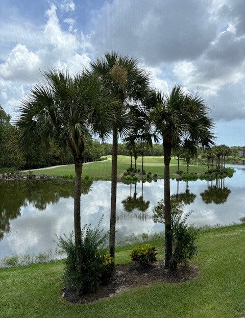 Palm trees reflected in a calm pond under a cloudy sky.