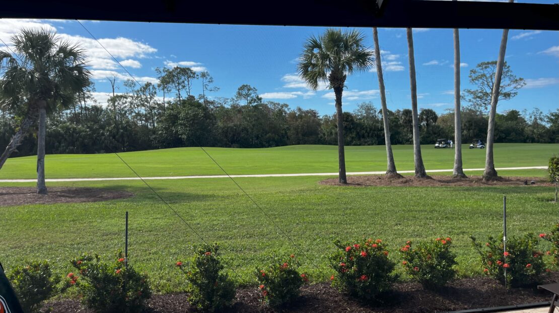 Sunny view of a golf course with palm trees and clear skies.