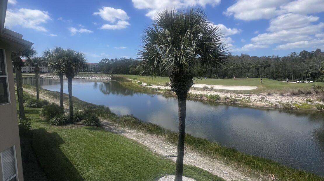 Scenic river view with palm trees under a partly cloudy sky.