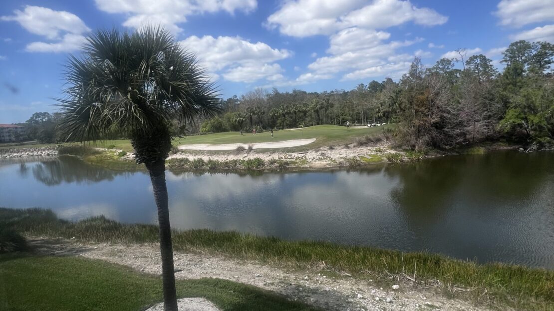A palm tree beside a calm river under a cloudy blue sky.