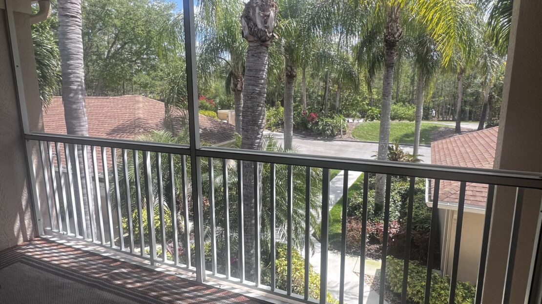 View from a screened porch overlooking a lush backyard with palm trees.
