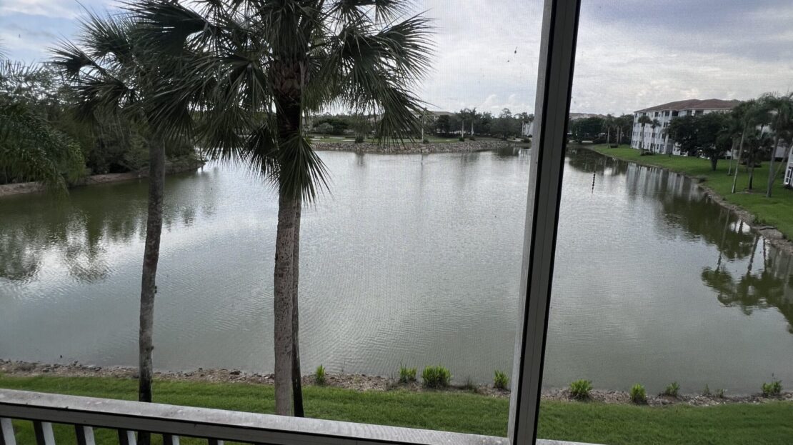 View of a serene lake with palm trees from a balcony.
