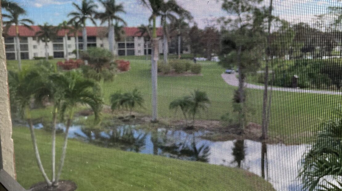 View of a serene residential area with a pond and palm trees.