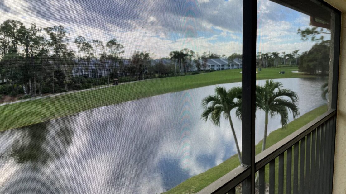 View of a calm lake and greenery from a screened balcony.