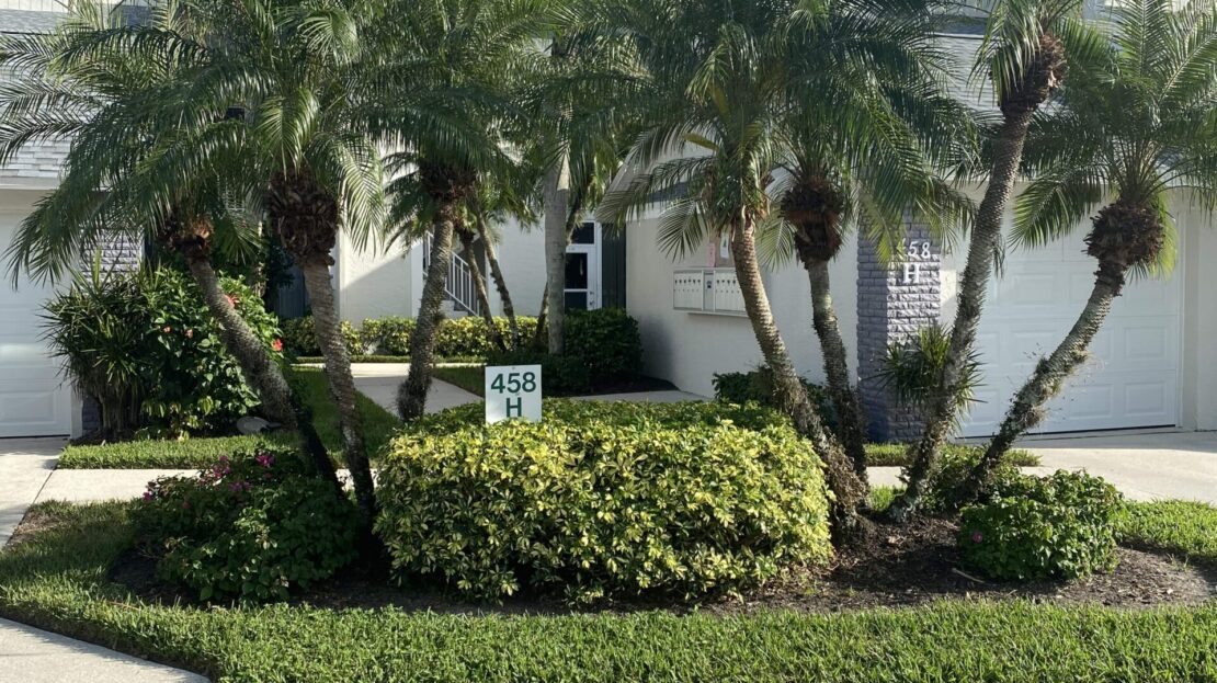 A well-maintained tropical garden with palm trees and shrubs in front of a white house.