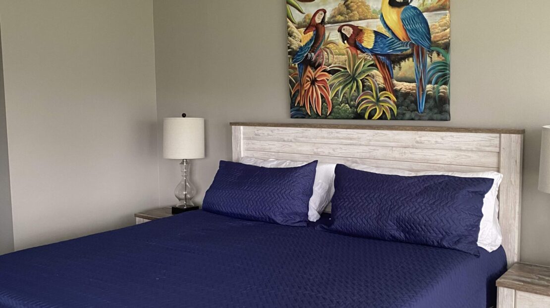 Modern bedroom with navy bedding and colorful parrot artwork.