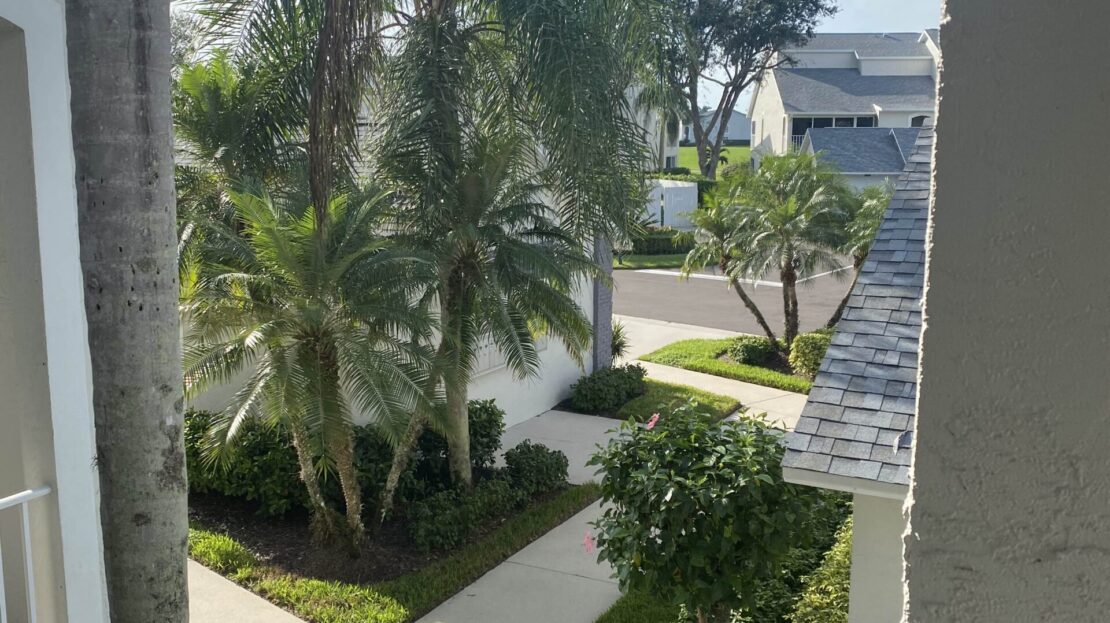 Sunlit tropical courtyard with palm trees and pathways between buildings.