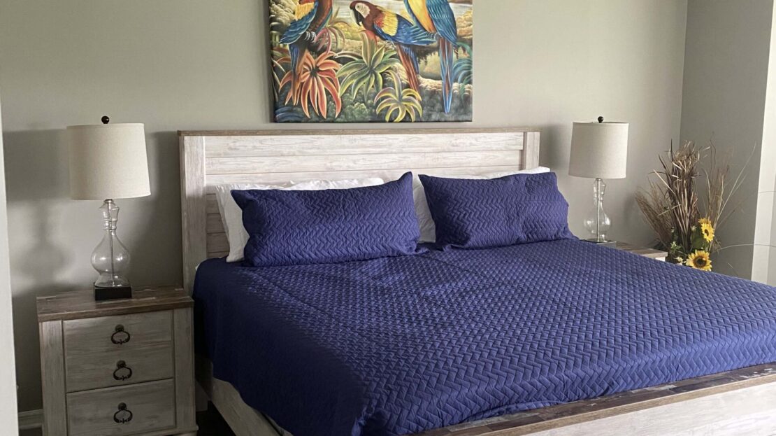 Cozy bedroom with a white wooden bed and navy blue bedding.