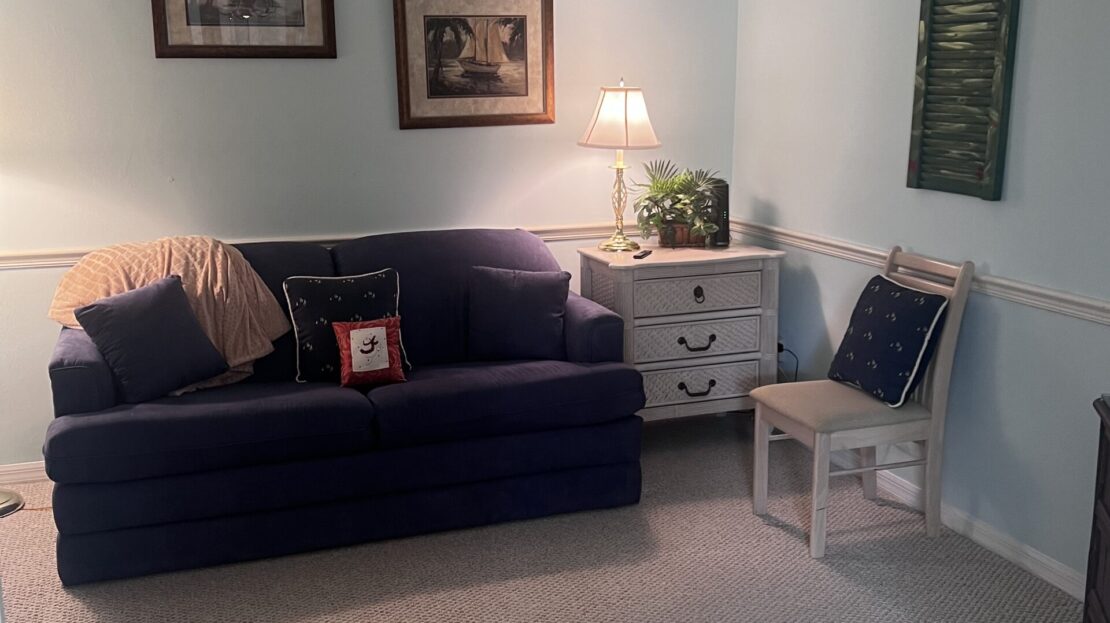 Cozy living room with navy blue sofa and warm lighting.