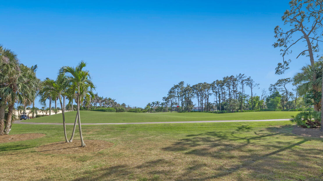 A clear blue sky over a grassy field with palm trees and distant trees.