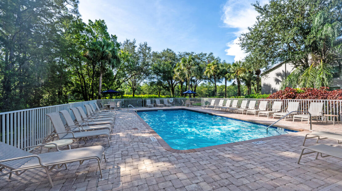 Sunny outdoor pool surrounded by lounge chairs and trees.