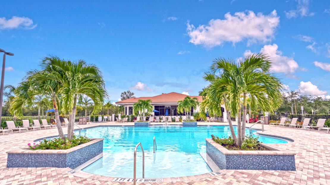 Luxurious outdoor pool surrounded by palm trees under a clear sky.