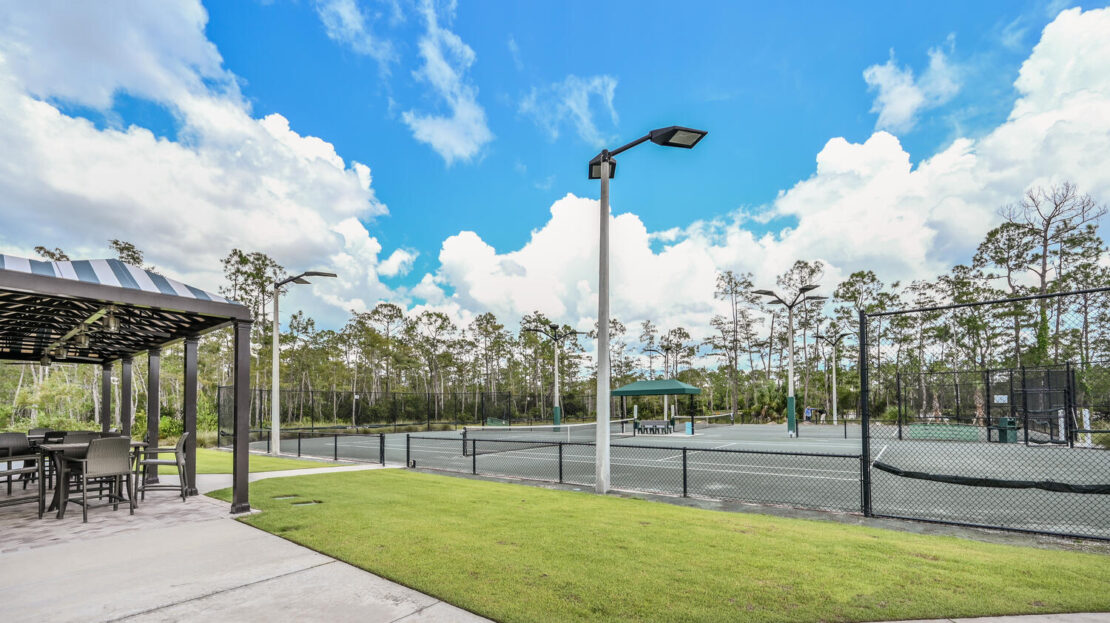 Sunny outdoor basketball court surrounded by trees under a blue sky.