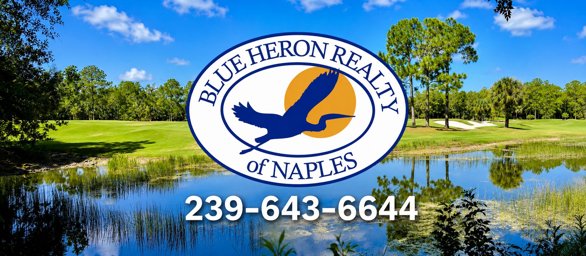 header_image